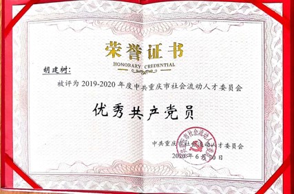 图片5