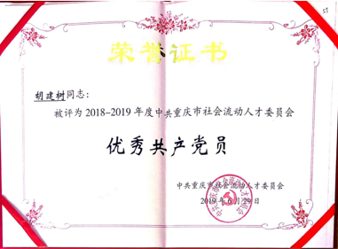 图片6