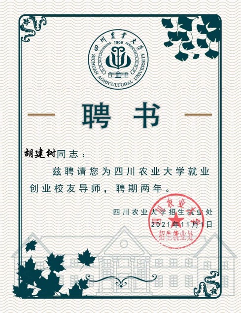 图片10